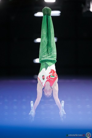 kis dominik hun sfe04344 copia simone ferraro ph